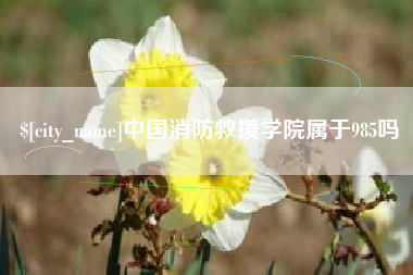 和田中国消防救援学院属于985吗