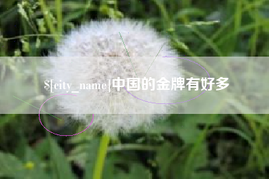 和田中国的金牌有好多