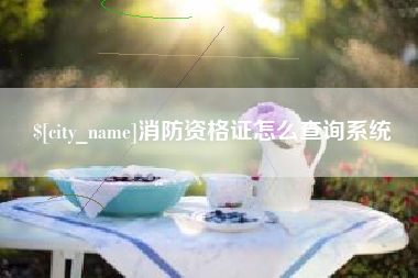 和田消防资格证怎么查询系统