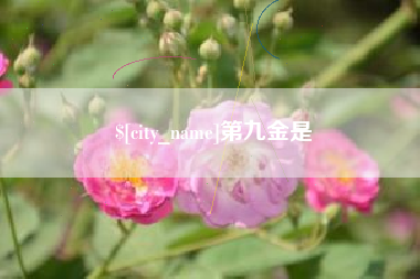 和田第九金是