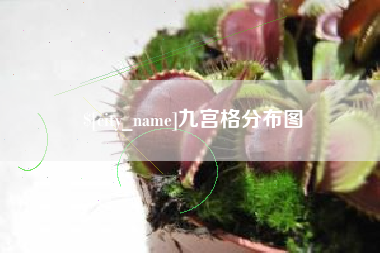 和田九宫格分布图