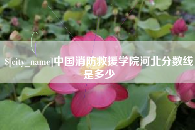 和田中国消防救援学院河北分数线是多少