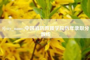 和田中国消防救援学院历年录取分数线