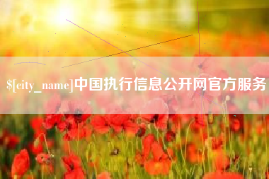 和田中国执行信息公开网官方服务