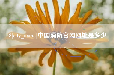 和田中国消防官网网址是多少
