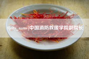 和田中国消防救援学院副院长