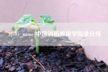 和田中国消防救援学院录分线