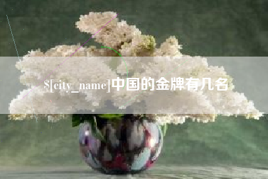 和田中国的金牌有几名