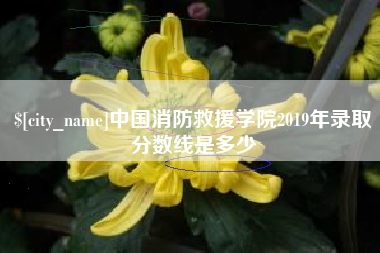 和田中国消防救援学院2019年录取分数线是多少