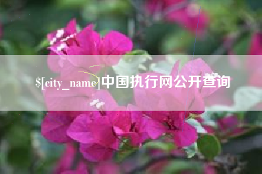 和田中国执行网公开查询
