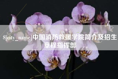 和田中国消防救援学院简介及招生章程指挥部