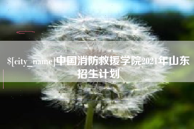 和田中国消防救援学院2021年山东招生计划