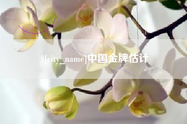 和田中国金牌估计