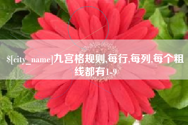 和田九宫格规则,每行,每列,每个粗线都有1-9
