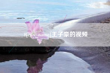 和田王子豪的视频