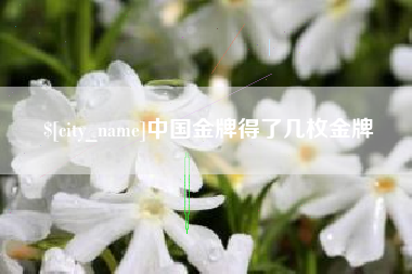 和田中国金牌得了几枚金牌