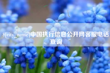 和田中国执行信息公开网客服电话查询