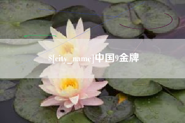 和田中国9金牌