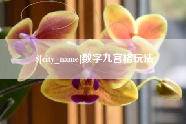 和田数字九宫格玩法