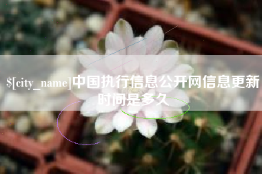 和田中国执行信息公开网信息更新时间是多久