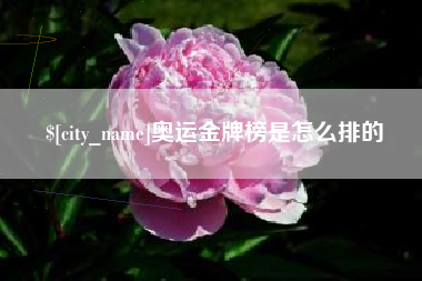 和田奥运金牌榜是怎么排的