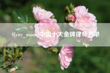 和田中国十大金牌律师名单