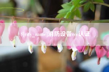 和田消防设备ccc认证
