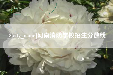 和田河南消防学校招生分数线