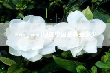 和田现在中国金牌是多少