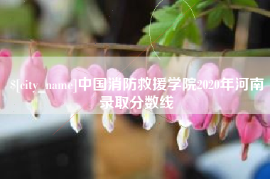 和田中国消防救援学院2020年河南录取分数线