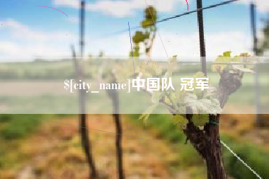 和田中国队 冠军