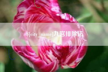 和田九宫排除法