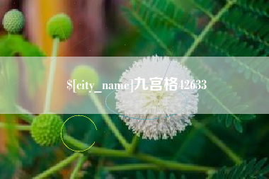 和田九宫格42633