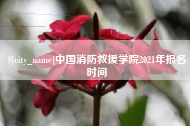 和田中国消防救援学院2021年报名时间