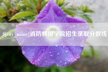和田消防救援学院招生录取分数线