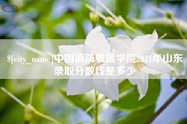 和田中国消防救援学院2021年山东录取分数线是多少