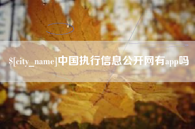 和田中国执行信息公开网有app吗