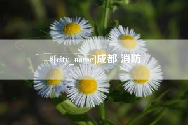 和田成都 消防