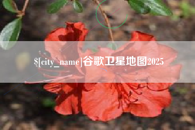 和田谷歌卫星地图2025
