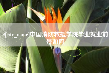 和田中国消防救援学院毕业就业前景如何