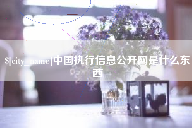 和田中国执行信息公开网是什么东西
