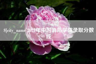 和田2021年中国消防学院录取分数线