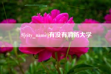 和田有没有消防大学