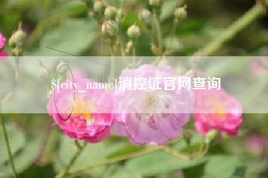 和田消控证官网查询