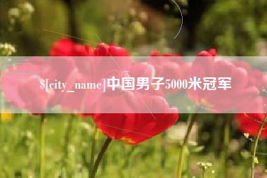 和田中国男子5000米冠军