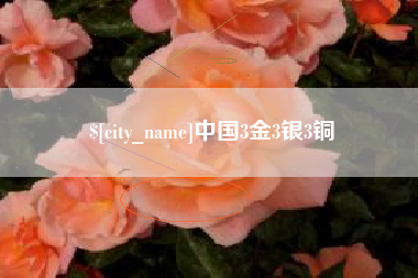 和田中国3金3银3铜