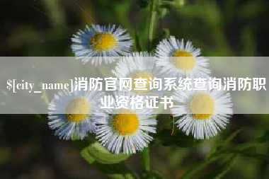 和田消防官网查询系统查询消防职业资格证书