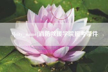 和田消防救援学院报考条件