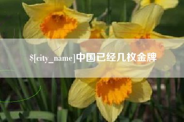 和田中国已经几枚金牌