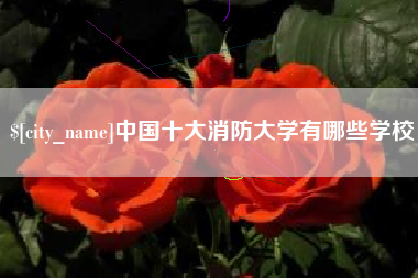 和田中国十大消防大学有哪些学校